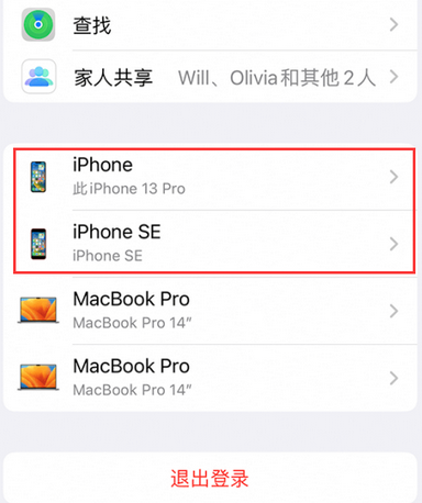 大安镇苹大安镇果维修网点分享iPhone如何查询序列号