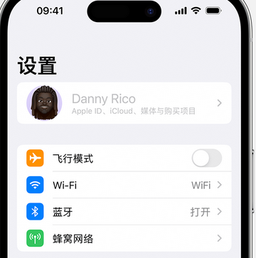 大安镇appleID维修服务iPhone设置中Apple ID显示为灰色无法使用 