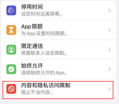 大安镇appleID维修服务iPhone设置中Apple ID显示为灰色无法使用