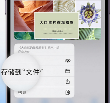 大安镇apple维修中心分享iPhone文件应用中存储和找到下载文件