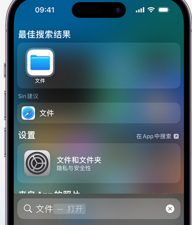 大安镇apple维修中心分享iPhone文件应用中存储和找到下载文件 