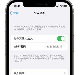 大安镇apple服务站点分享iPhone上个人热点丢失了怎么办 