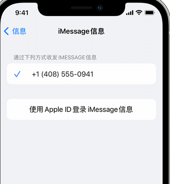 大安镇apple维修iPhone上无法正常发送iMessage信息 