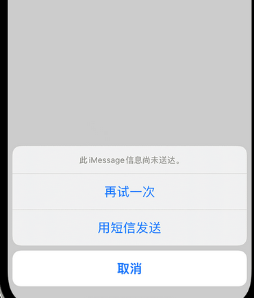 大安镇apple维修iPhone上无法正常发送iMessage信息