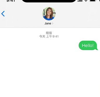 大安镇apple维修iPhone上无法正常发送iMessage信息