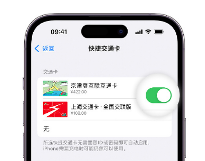 大安镇apple维修点分享iPhone上更换Apple Pay快捷交通卡手绘卡面 