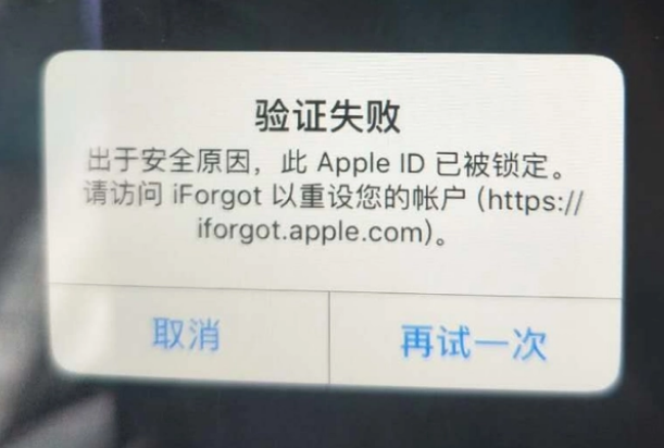 大安镇iPhone维修分享iPhone上正常登录或使用AppleID怎么办 