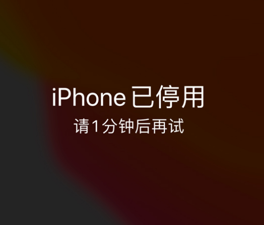 大安镇苹果手机维修分享:iPhone 显示“不可用”或“已停用”怎么办？还能保留数据吗？ 