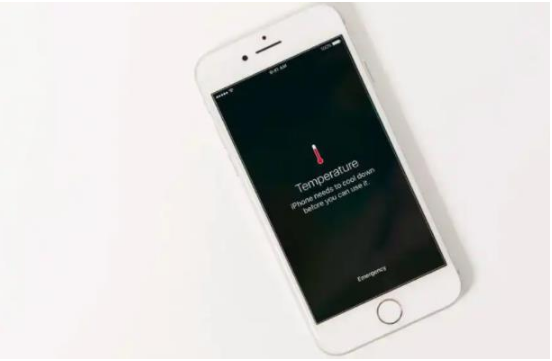 大安镇苹果手机维修分享iPhone 手机发热如何快速降温 