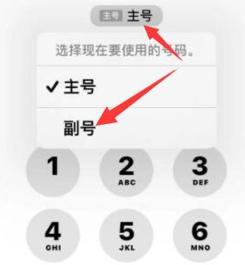 大安镇苹果14维修店分享iPhone 14 Pro Max使用副卡打电话的方法 