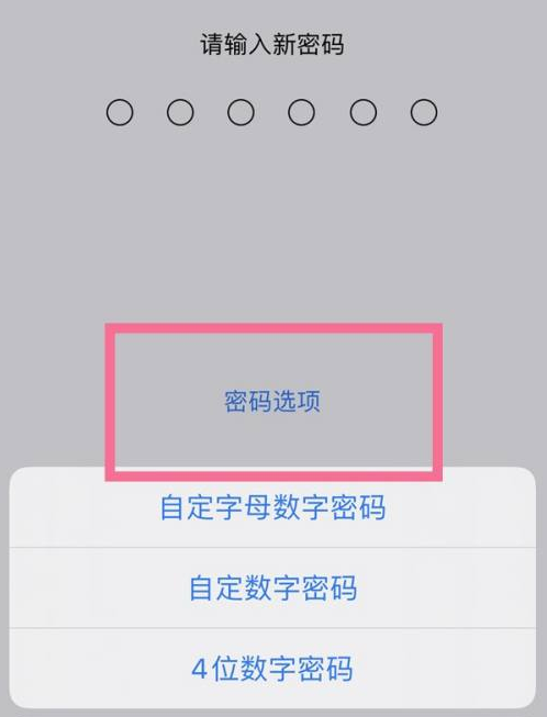 大安镇苹果14维修分享iPhone 14plus设置密码的方法 