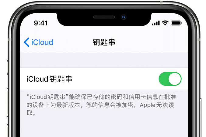 大安镇苹果手机维修分享在 iPhone 上开启 iCloud 钥匙串之后会储存哪些信息 