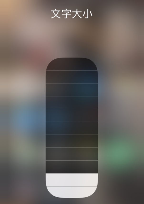 大安镇苹果手机维修分享小技巧：在 iPhone 控制中心快速调节字体大小 