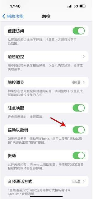 大安镇苹果手机维修分享iPhone手机如何设置摇一摇删除文字 