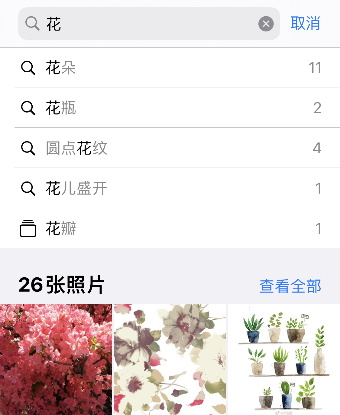 大安镇苹果手机维修分享iPhone 小技巧 