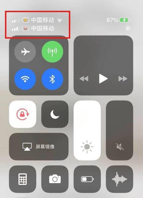 大安镇苹果手机维修分享为 iPhone 12 双卡设置标签 